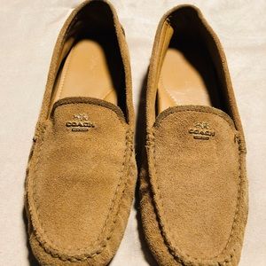🍂🍂Fall Loafers